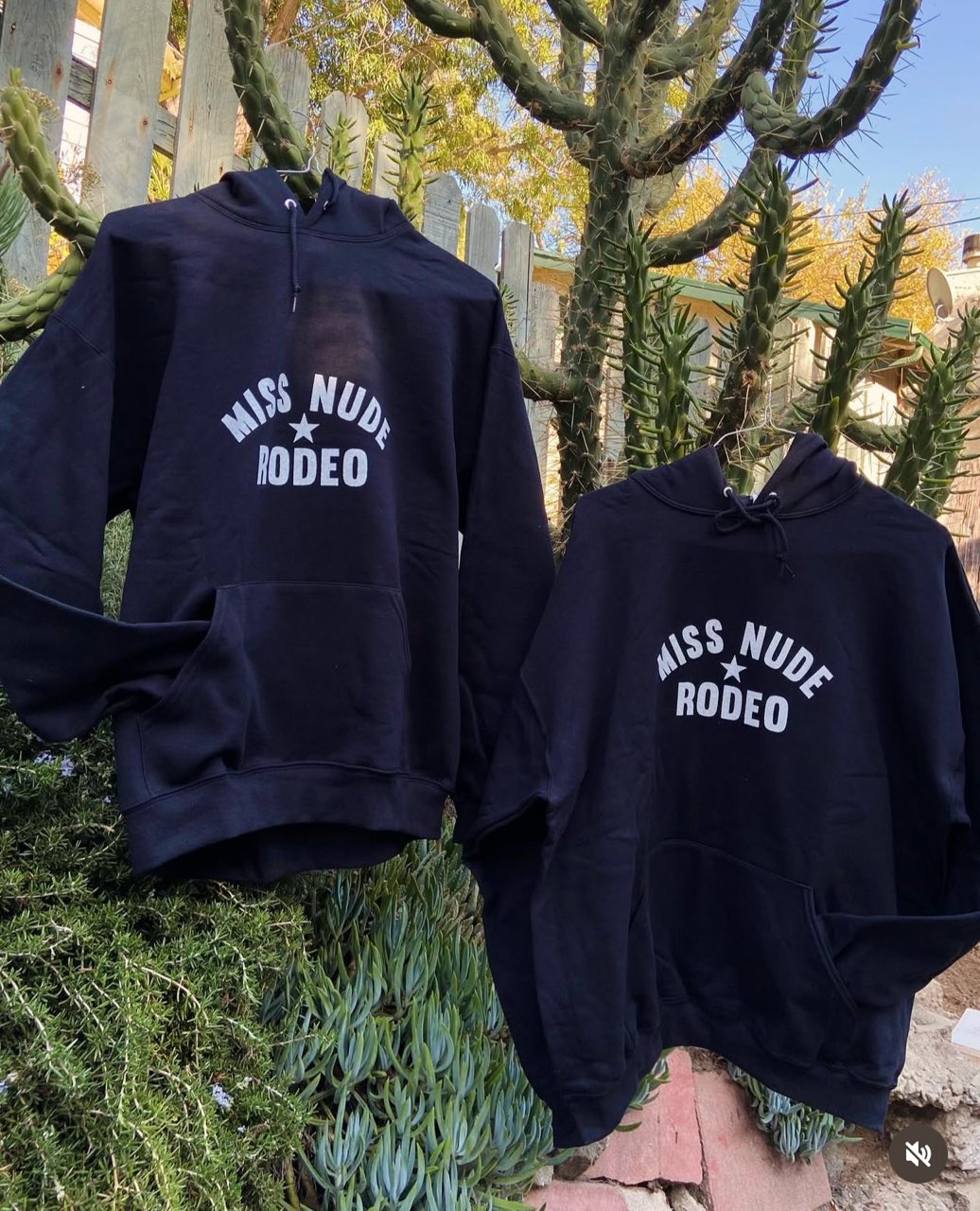 the hoodie
